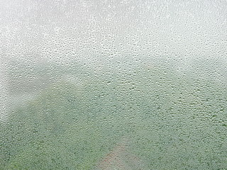 Water droplets on a cold window pane