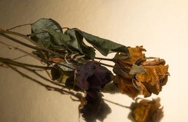 floral arrangement with dried flowers