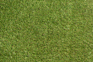 Obraz premium green grass