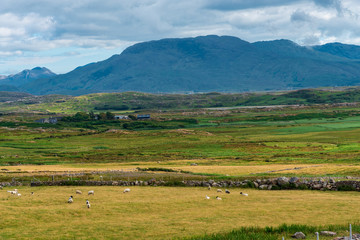 Fototapeta na wymiar Sheep Station with Mountains in Background