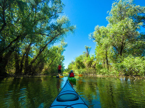View from the bow of blue kayak on man in green kayak on sunny spring day. Kayaking in wildlife