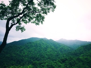 View landscape nature of the day at the mountain