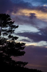 Summer colorful sunset.