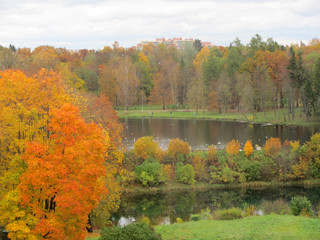 Obraz premium Autumn landscape with bright yellow oaks and lake