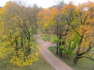 Fototapeta na wymiar Autumn landscape with bright yellow oaks and a path in the park