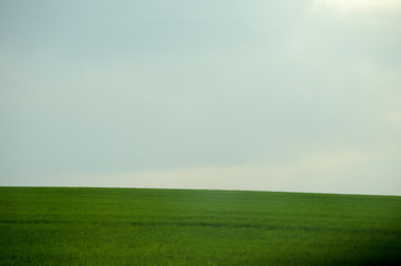 Obraz na płótnie Canvas Green grass and gray sky