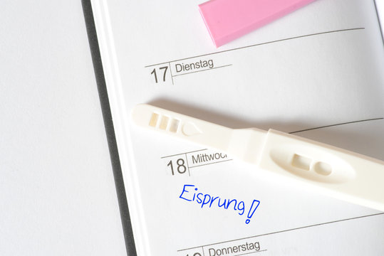 Ein Kalender, Schwangerschaftstest und Termin für den Eisprung