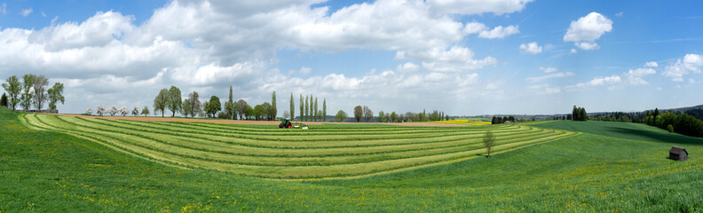 Panorama - Traktor bei der Ernte von Grünfutter auf einem Feld im Frühling © Robert Schneider