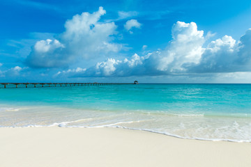 Fototapeta premium tropical beach in Maldives with blue lagoon