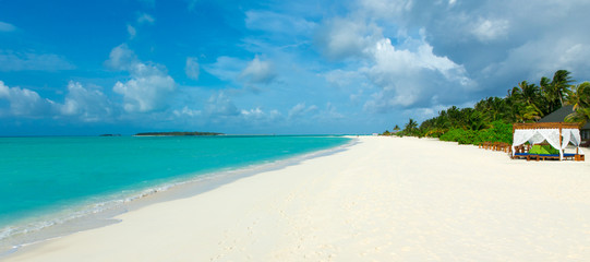 tropical beach in Maldives with few palm trees and blue lagoon