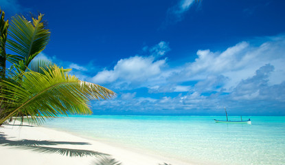 Naklejka na ściany i meble tropical beach in Maldives with few palm trees and blue lagoon