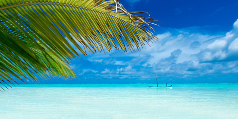 tropical beach in Maldives