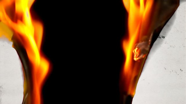 The upper part of a top-secret document, being divoured by flames. Source: public domain list of Oswald items after Kennedy assassination, recreated from scratch with a fake aging process.
