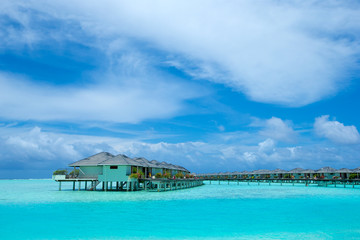 tropical beach in Maldives with few palm trees and blue lagoon