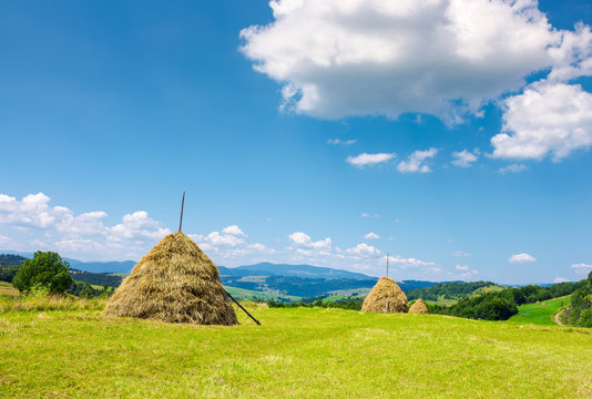Haystacks on the grassy field. beautiful summer weather. lovely rural area in mountains
