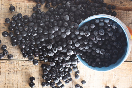 White Bowl Full With Frozen Aronia Berries