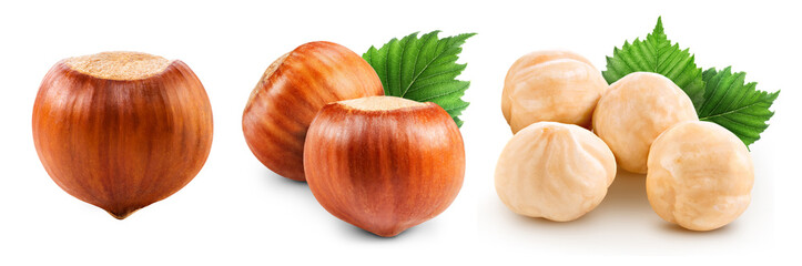 Hazelnuts isolated on white