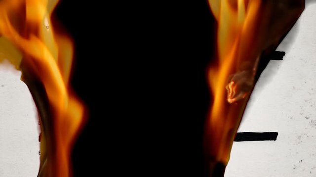 The lower part of a top-secret document, being divoured by flames. Source: public domain list of Oswald items after Kennedy assassination, recreated from scratch with a fake aging process.
