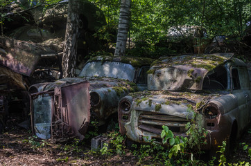 rostige autos im wald