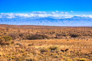 The dry desert landscape of the Karoo, Western Cape, South Africa.