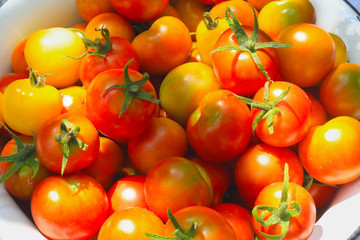 Fresh ripe red tomatoes