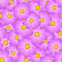 Pink Cosmos Flower Seamless Background