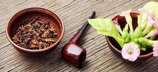 Wooden tobacco pipe