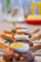 tartare meat with egg yolk, onions