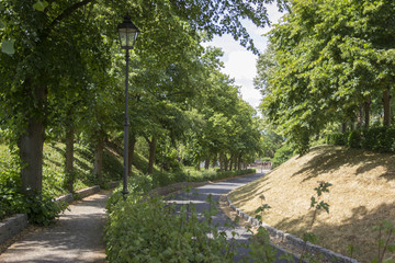 Idyllic street of a city lined with trees