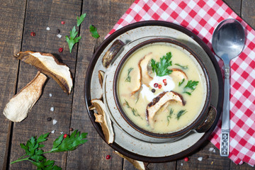 Mushroom soup with parsley, dill and fungi. Dried boletus mushroom on wooden table.