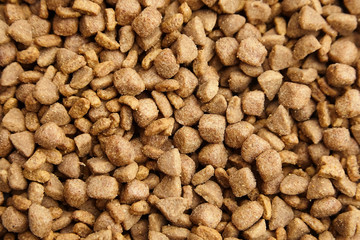 Dry food for dogs and cats. Pet meal background