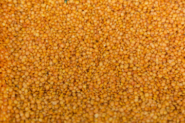 Background of yellow lentil grains
