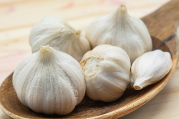 Garlic in wood table
