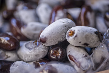 Dates in market