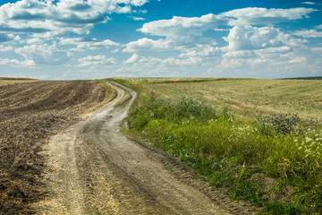 Road winding through fields