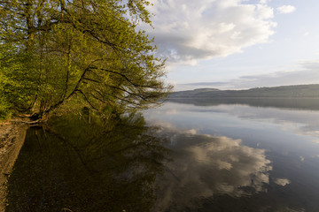 Wonderful morning mood on Lake Sempach in Switzerland. Trees and clouds reflect in the water