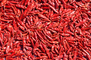 Fototapeta premium Top of view, Dried red chili background