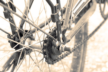 Part of bicycle rear wheel and chain