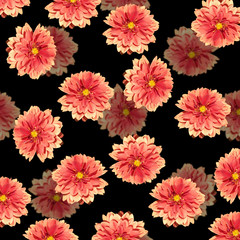 Beautiful floral background of dahlias 