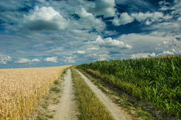 Road through fields on the hill and clouds in the sky