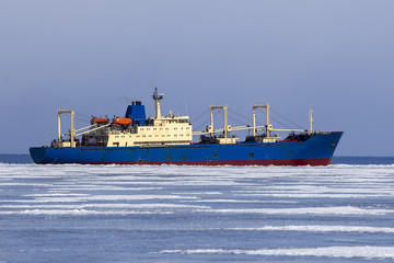 Blue cargo ship floating between the ice on the frozen sea