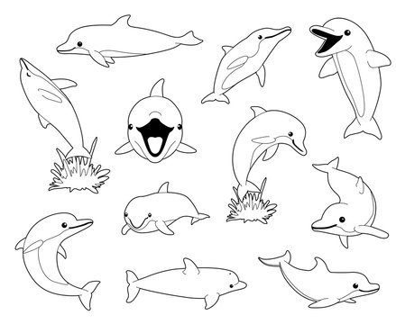 Cute Dolphin Coloring Book Cartoon Vector Illustration