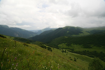 Naklejka premium Summer alpine meadows, Arkhyz.