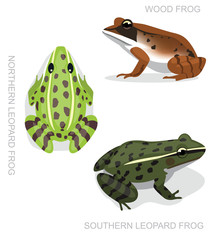 Naklejka premium Frog Leopard Frog Set Cartoon Vector Illustration