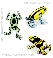 Fototapeta premium Żaba Poison Dart Frog Frog Set Cartoon Vector Illustration 2