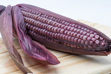 Purple corn isolated
