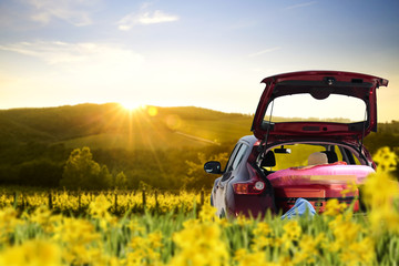 Red summer car with golden sunset light and yellow fresh flowers. 