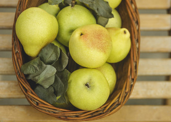 Fall harvest basket filled with pears, leaves