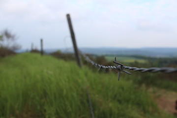 Rother Kopf bei Gerolstein(Vulkaneifel)