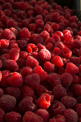 Red raspberries close-up / Heap of fresh ripe red raspberries 